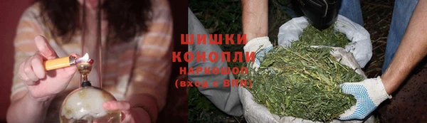 ГАЛЛЮЦИНОГЕННЫЕ ГРИБЫ Богородск