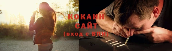 ГАЛЛЮЦИНОГЕННЫЕ ГРИБЫ Богородск