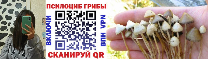 ссылка на мегу вход  Клин  Псилоцибиновые грибы мухоморы 
